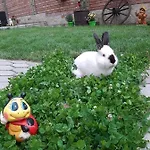 Къща За Гости Рожен Рест Guest house *