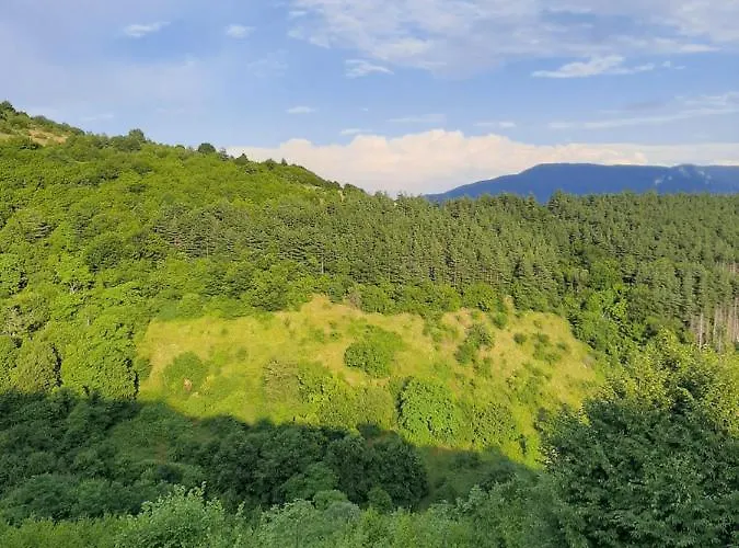 Къща За Гости Рожен Рест *